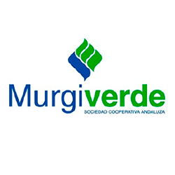 murgi verde